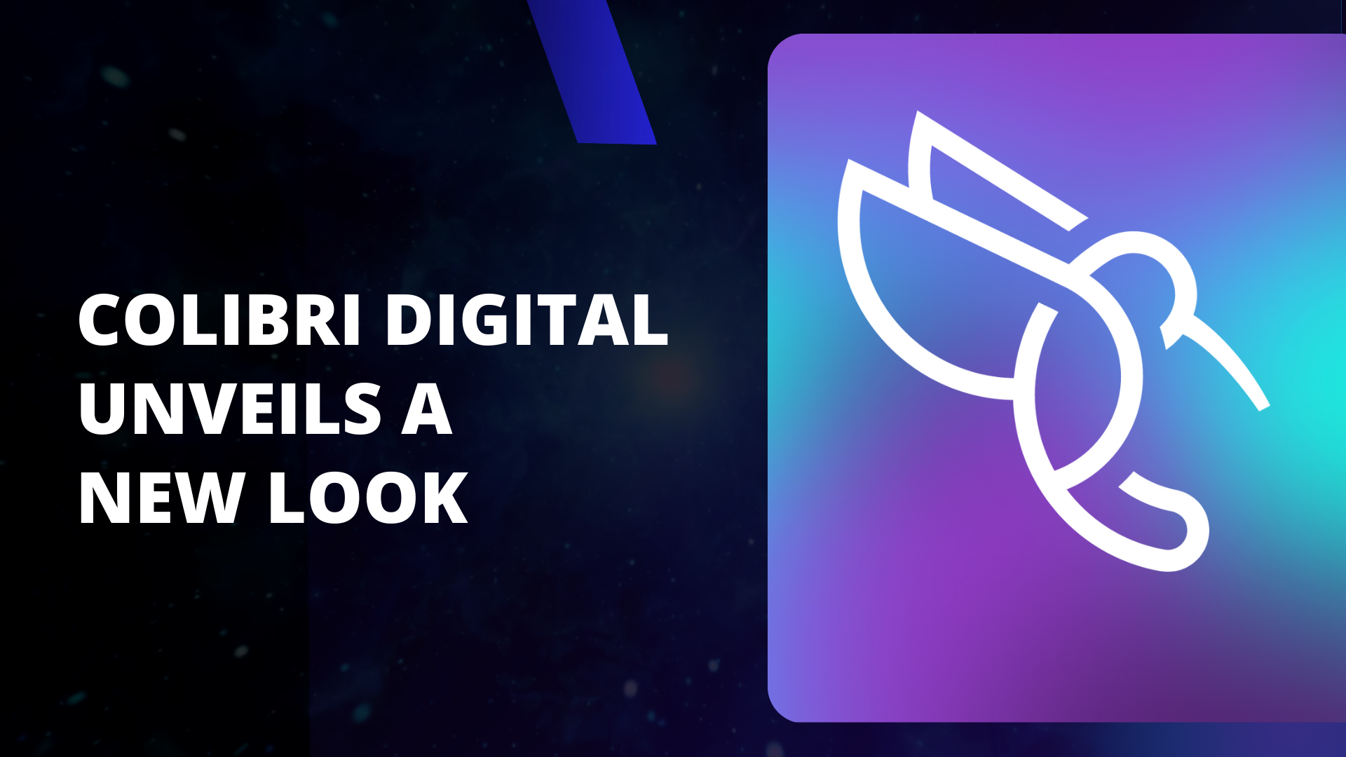 Colibri Digital unveils a new look - Main header image